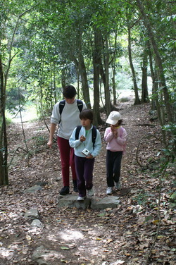 eungella