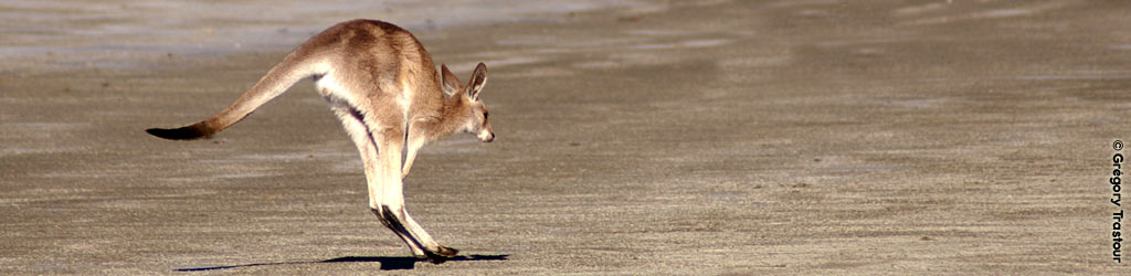 Voyage Australie et NZ, Site sur l'Oceanie