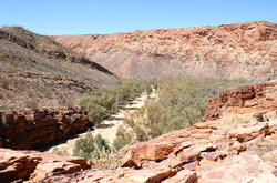trephina gorge