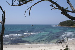 cape jervis