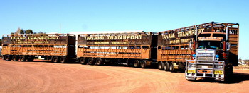 Road Train
