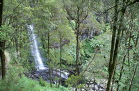 falls erskine
