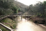 Eli Creek