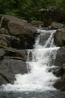 aongatete cascade