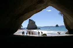 arche cathedrale cove