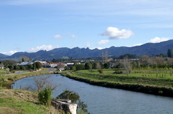 vue sur les kaimai range