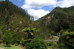 karangahake gorge