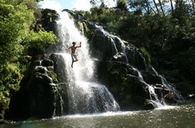 Owharoa falls