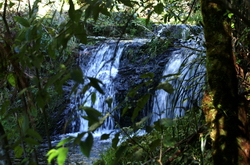 falls otanewainuku