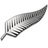 fern